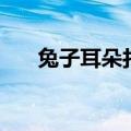 兔子耳朵打一字谜（兔子耳朵打一字）