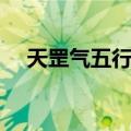 天罡气五行拳（关于天罡气五行拳简介）