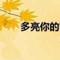 多亮你的背包现场（你的背包 多亮）