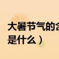 大暑节气的含义是什么意思（大暑节气的含义是什么）