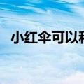 小红伞可以和火绒一起用吗（小红伞 key）