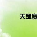 天罡魔引（关于天罡魔引简介）