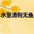 水至清则无鱼人至贱则无敌武功再高也怕菜刀