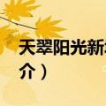 天翠阳光新城B区（关于天翠阳光新城B区简介）