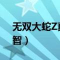 无双大蛇Z真远吕智招式（无双大蛇z真远吕智）