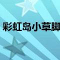 彩虹岛小草脚本怎么设置（彩虹岛小草脚本）