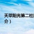 天翠阳光第二社区服务队（关于天翠阳光第二社区服务队简介）