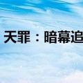 天罪：暗幕追凶（关于天罪：暗幕追凶简介）