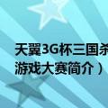 天翼3G杯三国杀手机游戏大赛（关于天翼3G杯三国杀手机游戏大赛简介）