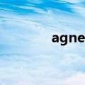 agnes b.双肩包（agens b）