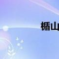 楯山文乃图片（楯山文乃）
