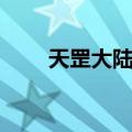 天罡大陆志（关于天罡大陆志简介）