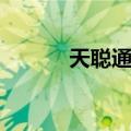 天聪通宝（关于天聪通宝简介）