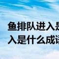鱼排队进入是什么成语疯狂猜成语（鱼排队进入是什么成语）