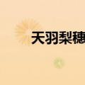 天羽梨穗子（关于天羽梨穗子简介）