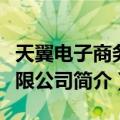 天翼电子商务有限公司（关于天翼电子商务有限公司简介）