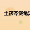 土茯苓煲龟汤还加什么药材（土茯苓煲龟）