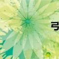 弓星输出手法（弓星）