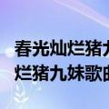 春光灿烂猪九妹主题曲好春光的歌词（春光灿烂猪九妹歌曲）