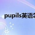 pupils英语怎么读音（pupils怎么读英语）