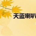 天蓝喇叭虫（关于天蓝喇叭虫简介）