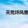 天荒坪风景区（关于天荒坪风景区简介）
