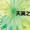 天翼之炼（关于天翼之炼简介）