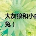 大灰狼和小白兔的故事语音版（大灰狼和小白兔）