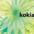 kokia白雪日语（kokia白雪）