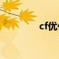 cf优化软件（cffps优化器）