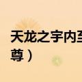 天龙之宇内至尊百度百科（天龙八部之宇内至尊）