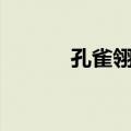 孔雀翎剧情bug（孔雀翎剧情）