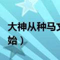 大神从种马文开始免费阅读（大神从种马文开始）