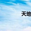 天地劫幻神（幻神劫天寂）