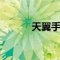 天翼手机（关于天翼手机简介）