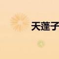 天蓬子属（关于天蓬子属简介）