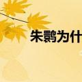 朱鹮为什么是日本国鸟（日本国鸟）