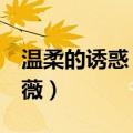 温柔的诱惑 董薇薇扮演者（温柔的诱惑 董薇薇）