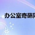 办公室奇葩同事（办公室来了个极品同事）