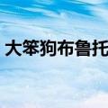 大笨狗布鲁托吃蛋糕哪一集（大笨狗布鲁托）