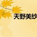 天野美纱绪（关于天野美纱绪简介）