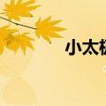 小太极是什么意思（小太极）