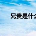 兄贵是什么意思啊（兄贵是什么意思）
