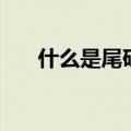 什么是尾矿库浸润线（什么是尾矿库）