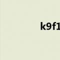 k9f1208u0m（k9f1208）