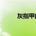 灰指甲的原因0（灰指甲的原因）