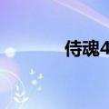 侍魂4出招视频（侍魂4出招）
