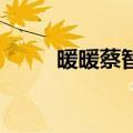 暖暖蔡智恒百度云（暖暖 蔡智恒）