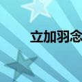 立加羽念什么粤语（立加羽念什么）
