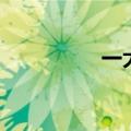 一大堆乱码（乱码大楼）